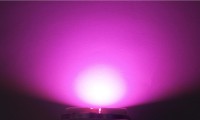 OptoSupply LED, 5mm, 3.5-4.1lm, 15&#176;, klar, baby pink